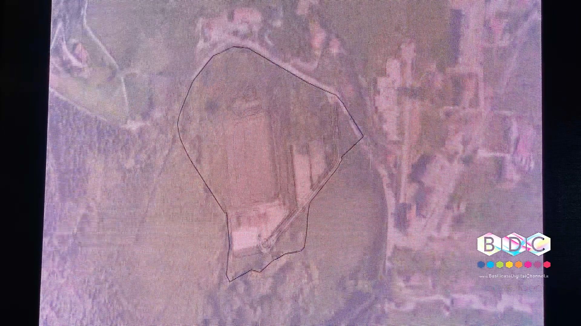 NUOVA PISCINA DI POTENZA, PALCET DELL'OPPOSIZIONE SUL SITO DI MACCHIA GIOCOLI